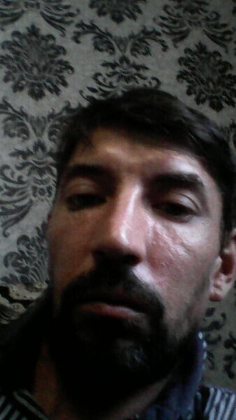  --,   , 43 ,   