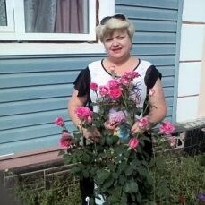  ,   , 56 ,  