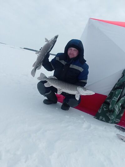 ���������� �����, ���� ������� �������, 37 ���, ������������ ��� ������, ����� � ���������