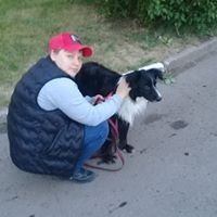  ,   , 33 ,   