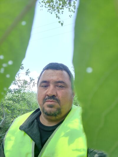  ,   , 45 ,   ,   