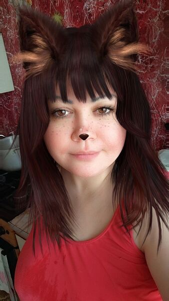  ,   , 40 ,   ,   , 