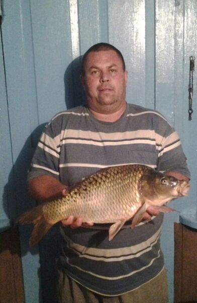  ,   , 50 ,   ,   , c , 