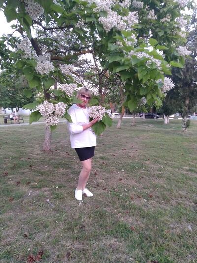  ,   , 60 ,     , c 
