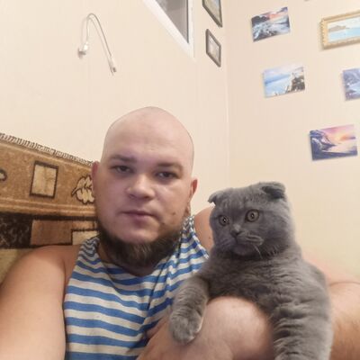  ,   , 34 ,   ,   