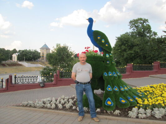  ,   , 61 ,   ,   , c , 