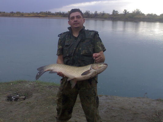  ,   Tor, 53 ,   