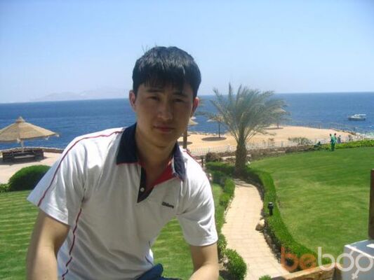  ,   LION, 41 ,   