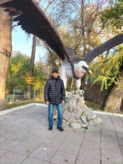  ,   , 53 ,   