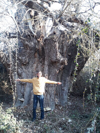  ,   Rasad, 46 ,   ,   