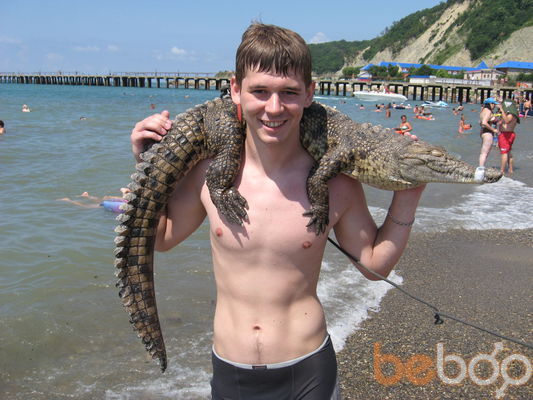   ,   Medved, 40 ,   