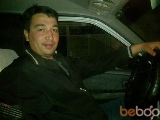  ,   Wolf, 41 ,   