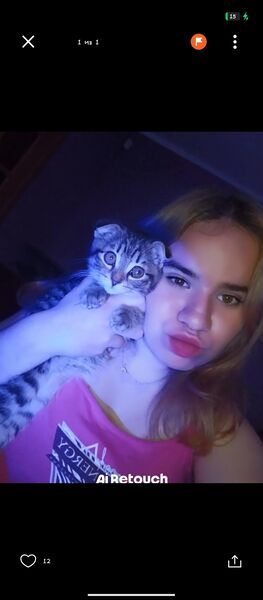  ,   , 18 ,     , c , 