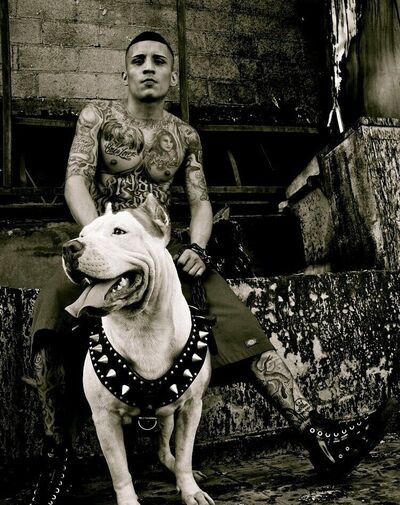  ,   , 38 ,     , c , 