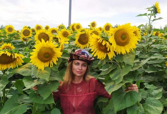  ,   , 44 ,     
