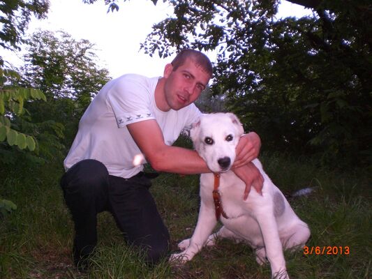  ,   RADIK1294, 37 ,   ,   , c 