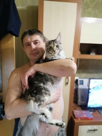  ,   , 51 ,   ,   