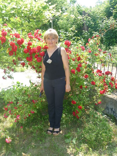  ,   , 63 ,  