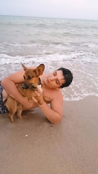  ,   , 33 ,   ,   , c , 