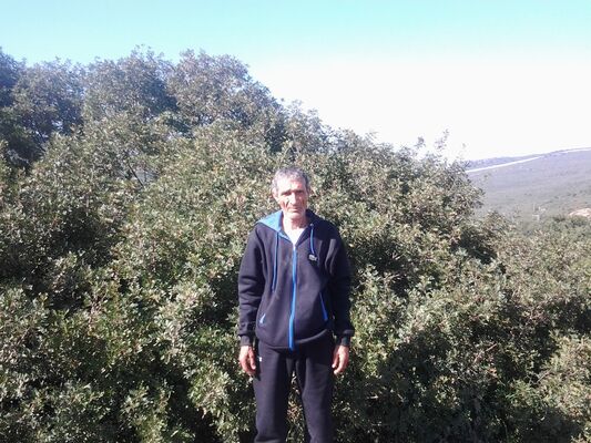  -,   Sesaid, 65 ,   ,   , c 