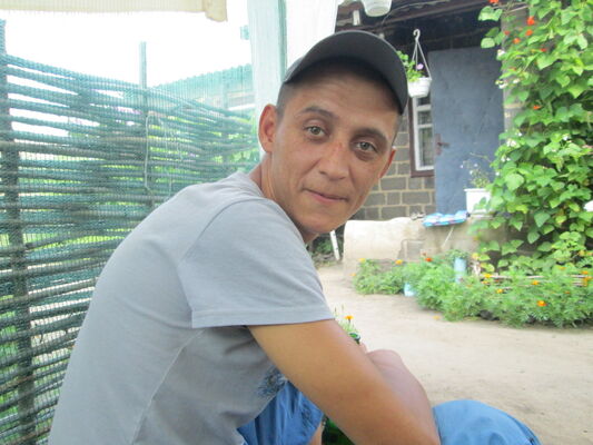  ,   , 41 ,   