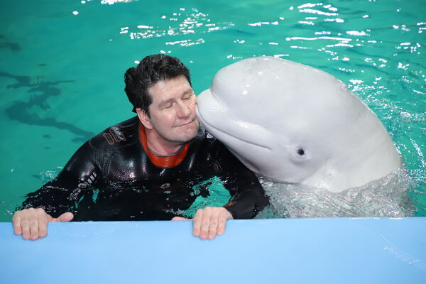  ,   , 45 ,   ,   , c 