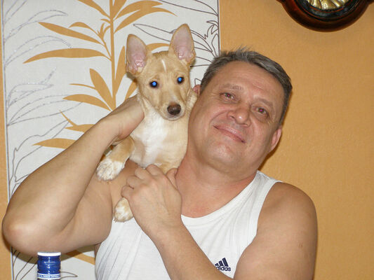  ,   , 53 ,   ,   , c , 