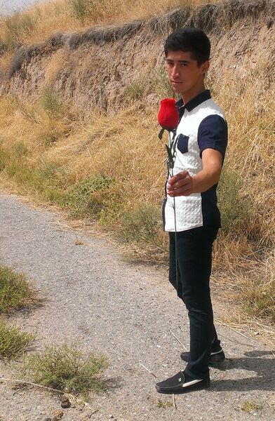  -,   , 31 ,   