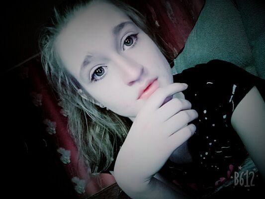  -,   , 24 ,  