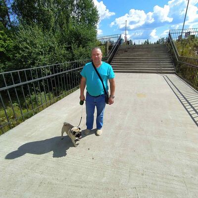  ,   , 55 ,  