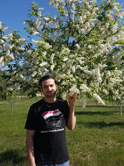  -,   , 32 ,   ,   
