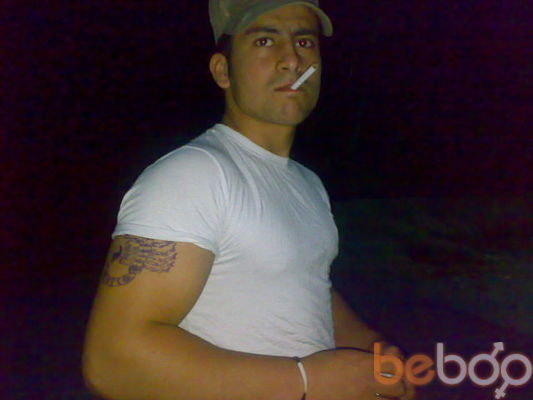  ,   Odinoki volk, 31 ,   ,   , c 
