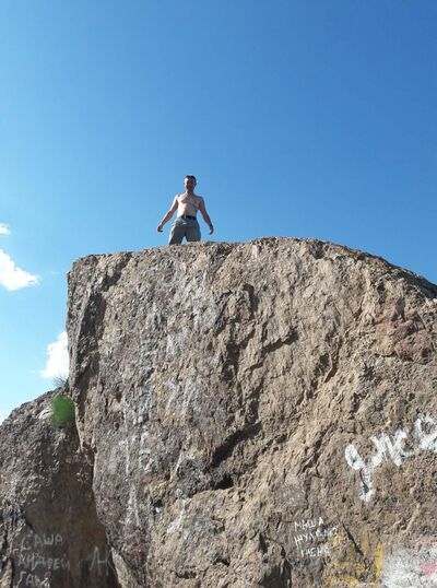  ,   Shark, 40 ,   