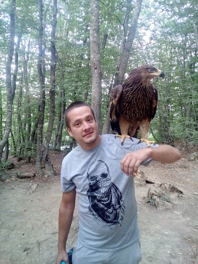  --,   , 36 ,   