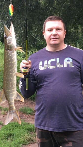  ,   , 46 ,   ,   