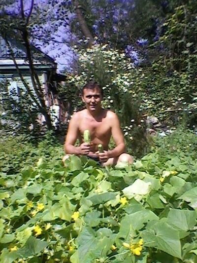  ,   , 62 ,   ,   , c 