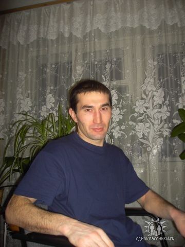 ,     , 51 ,   ,   , c 