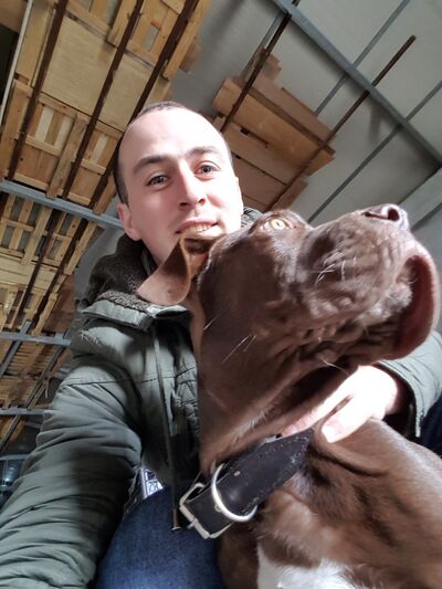  ,   Lasha, 33 ,   ,   , c 