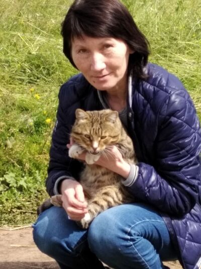  ,   , 56 ,  