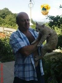  ,   , 63 ,   