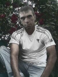  --,   , 41 ,   