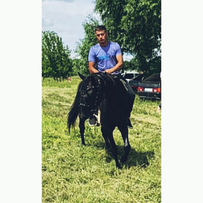  ,   Artur, 31 ,   ,   , c 