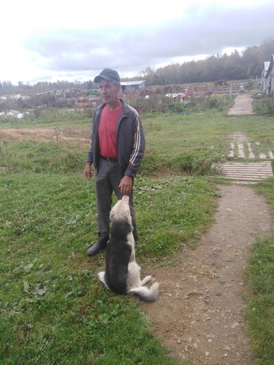  ,   , 60 ,   ,   