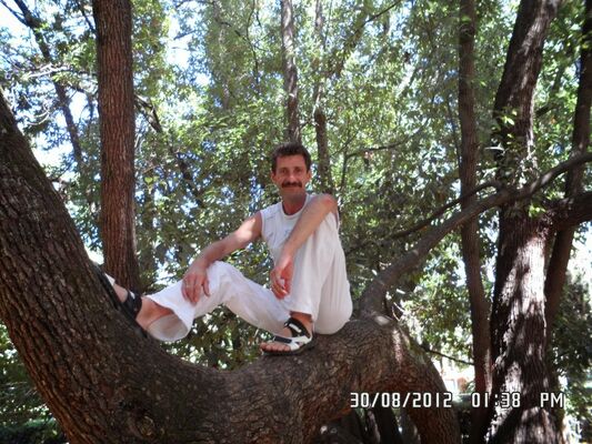  ,   , 54 ,   