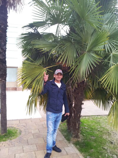  ,   , 38 ,   