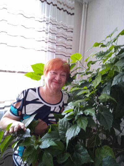  ,   , 67 ,   ,   