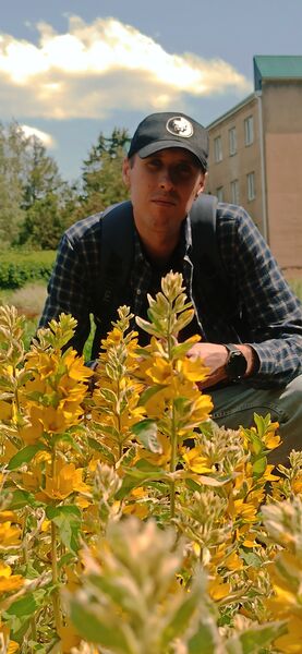  ,   LESNIK, 33 ,   ,   