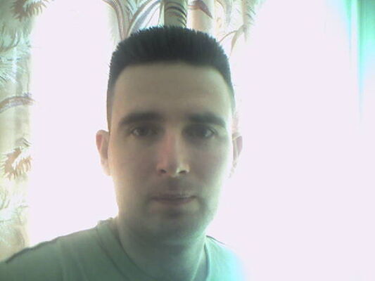  -,   , 41 ,  