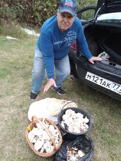 ,   , 73 ,   ,   