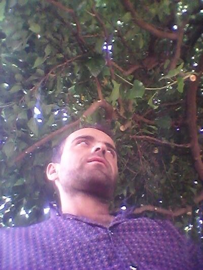  ,   Shamil, 39 ,   ,   , c 